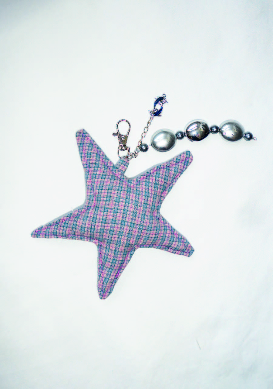 Porte-clefs étoile #6